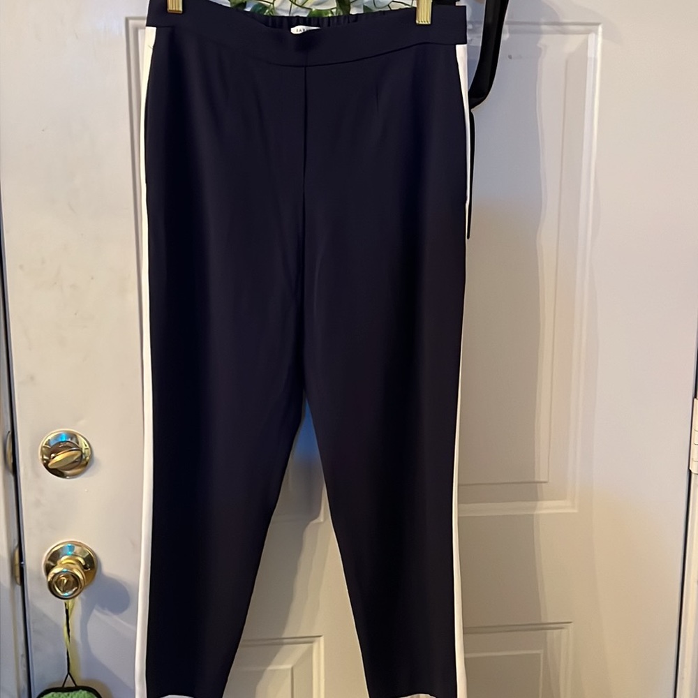 Aritzia Babaton Conan Pant Terado Navy Side Stripe Japanese Crepe Fabric…